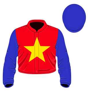 Star racing silks