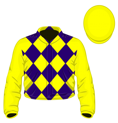 Yellow checkerboard racing silks